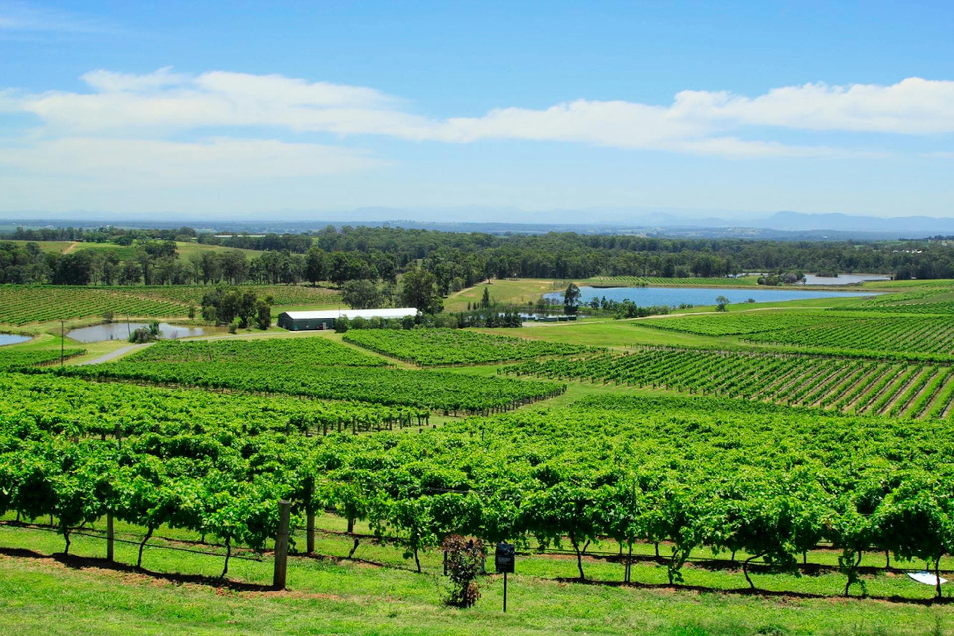 Hunter Valley wedding location image